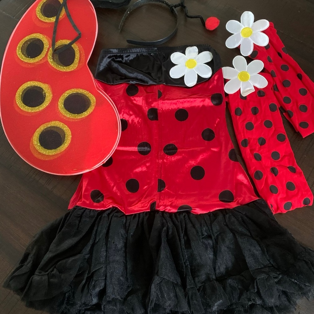 Lady bug costume